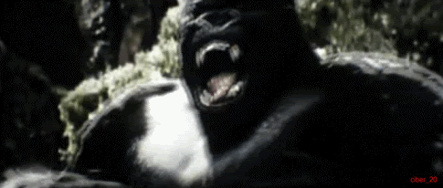 kong.gif