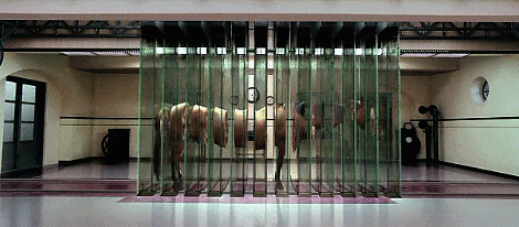 tumblr_mud7gyNyRU1r04g55o2_500.gif