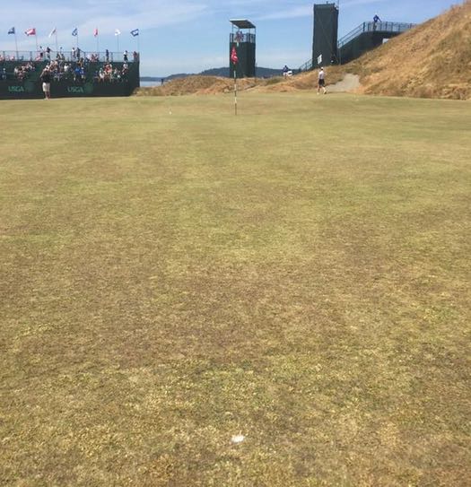 Chambers-Bay-white-dots.jpg