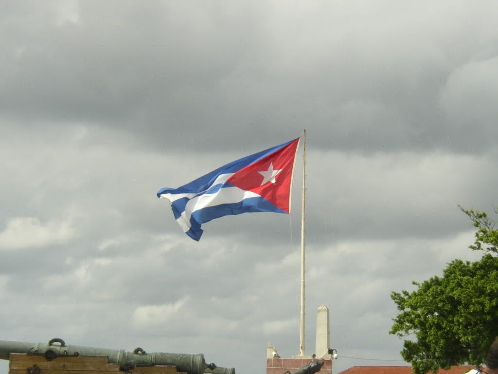 P1010027.jpg