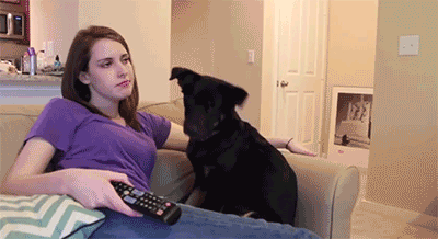 kSn1Mj0.gif