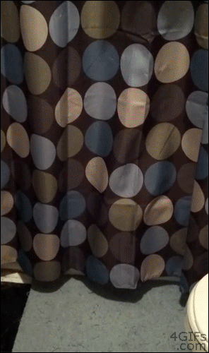 tumblr_mu7xsx3PK31qdlh1io1_400.gif