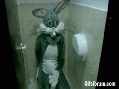 tumblr_muermslMWz1rf0uuvo1_400.gif