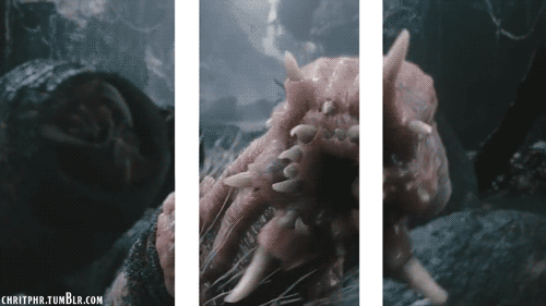 VmUmmdq.gif