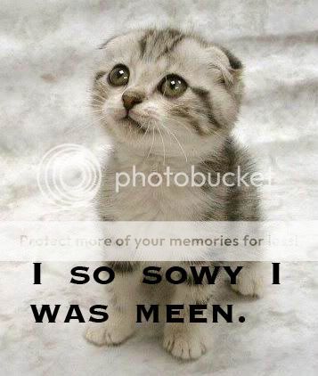 sorrycat.jpg