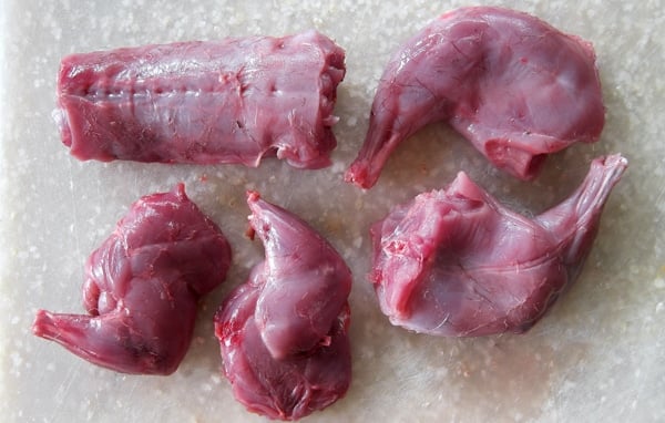 cut-up-squirrel-600px.jpg
