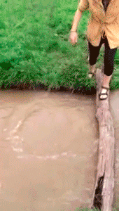 tumblr_inline_mik9nvgPko1qz4rgp.gif