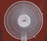 1483106077101926945.gif