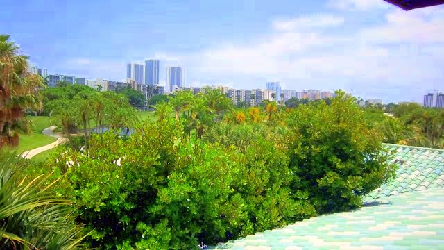 100_0511.JPG