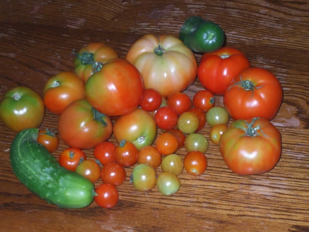 garden012.jpg