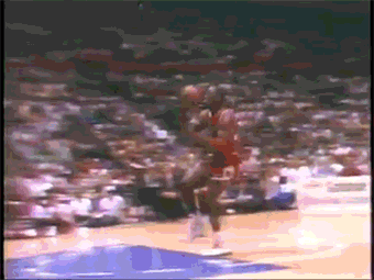 LS53q12.gif