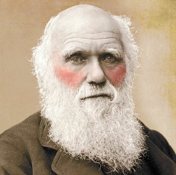 darwin-blushing-illo.jpg