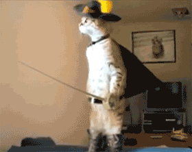 catador.gif