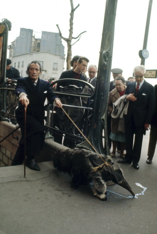 salvador-dali-walking-anteater-paris-france-1969.jpg