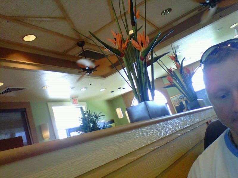 IMG00232-20100523-1350.jpg
