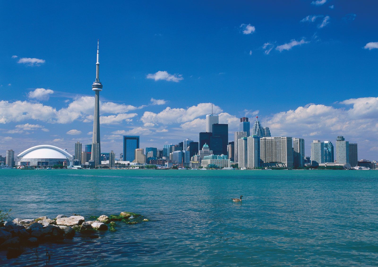 CN-Tower-rest-skyline-Toronto-world-structure.jpg