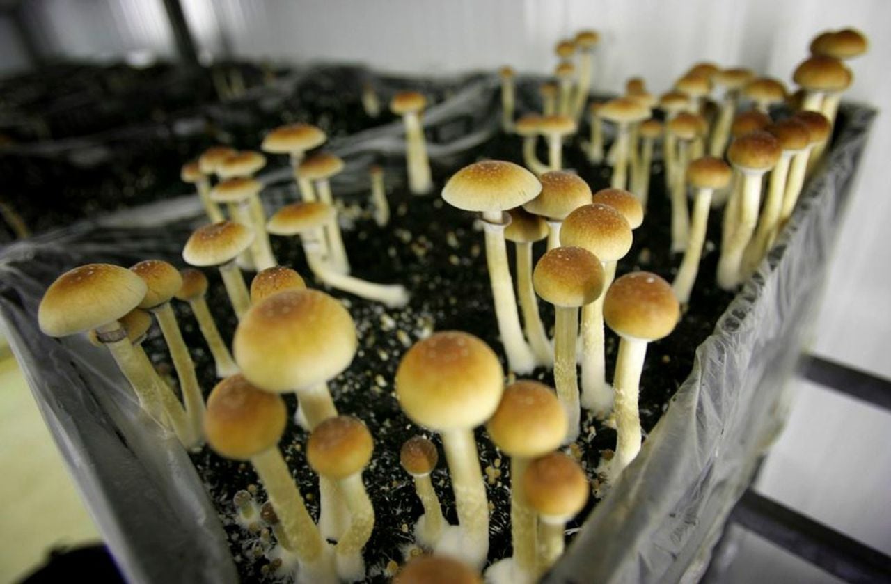 www.oregonlive.com